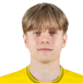 Ziemowit Król